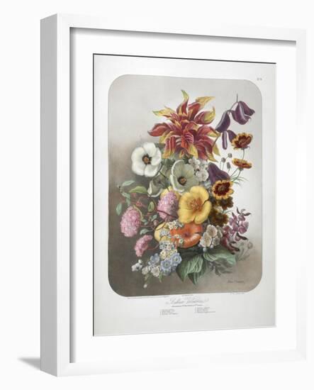 A Bouquet Of Flowers-Elisa Champin-Framed Giclee Print