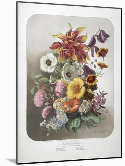 A Bouquet Of Flowers-Elisa Champin-Mounted Giclee Print