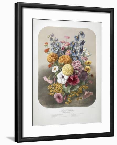 A Bouquet Of Flowers-Elisa Champin-Framed Giclee Print