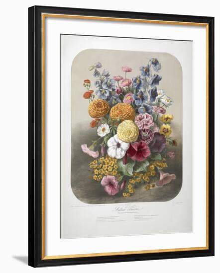 A Bouquet Of Flowers-Elisa Champin-Framed Giclee Print