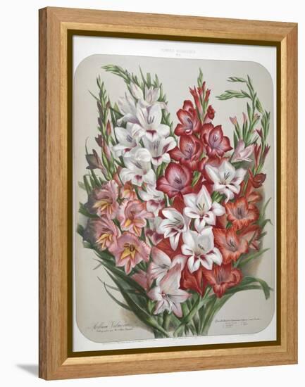 A Bouquet Of Flowers-Elisa Champin-Framed Premier Image Canvas