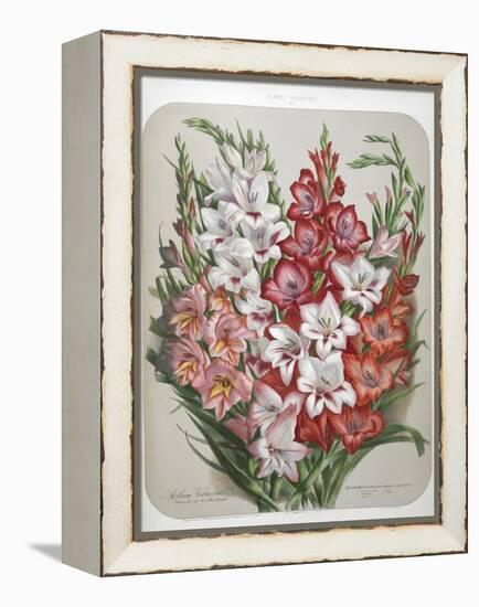 A Bouquet Of Flowers-Elisa Champin-Framed Premier Image Canvas