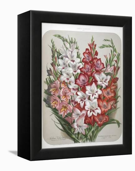 A Bouquet Of Flowers-Elisa Champin-Framed Premier Image Canvas