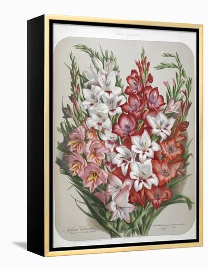 A Bouquet Of Flowers-Elisa Champin-Framed Premier Image Canvas