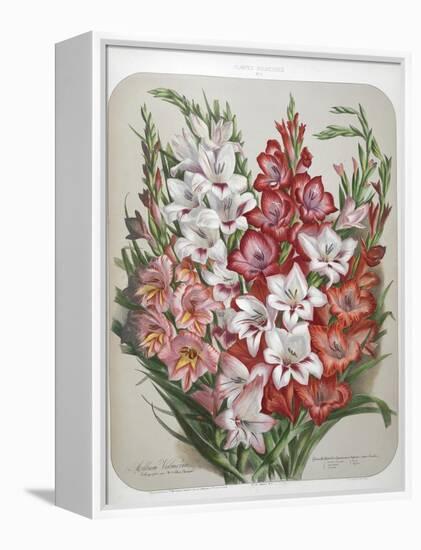 A Bouquet Of Flowers-Elisa Champin-Framed Premier Image Canvas