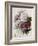 A Bouquet of Red, Pink and White Peonies-Pierre-Joseph Redouté-Framed Giclee Print