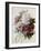 A Bouquet of Red, Pink and White Peonies-Pierre-Joseph Redouté-Framed Giclee Print