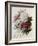 A Bouquet of Red, Pink and White Peonies-Pierre-Joseph Redouté-Framed Giclee Print