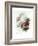 A Bouquet of Red, Pink and White Peonies-Pierre-Joseph Redouté-Framed Giclee Print