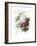 A Bouquet of Red, Pink and White Peonies-Pierre-Joseph Redouté-Framed Giclee Print