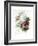 A Bouquet of Red, Pink and White Peonies-Pierre-Joseph Redouté-Framed Giclee Print