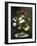 A Bouquet of Roses in a Glass Vase by Wild Flowers on a Marble Table-Otto Didrik Ottesen-Framed Giclee Print