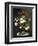 A Bouquet of Roses in a Glass Vase by Wild Flowers on a Marble Table-Otto Didrik Ottesen-Framed Giclee Print