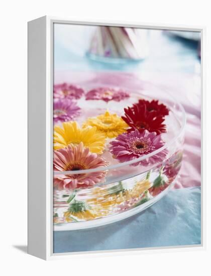 A Bowl of Flowers Floating in Water (Table Decoration)-Alexander Van Berge-Framed Premier Image Canvas