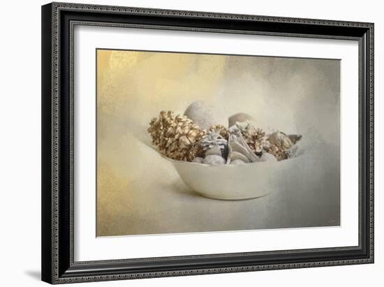 A Bowl of Holiday Bounty-Jai Johnson-Framed Giclee Print