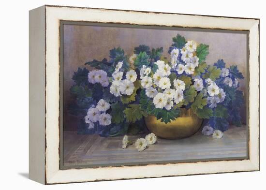 A Bowl of Primulas-Edith Barrow-Framed Premier Image Canvas