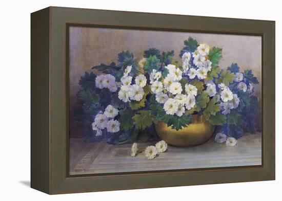 A Bowl of Primulas-Edith Barrow-Framed Premier Image Canvas