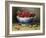 A Bowl of Raspberries-Willam B. Hough-Framed Giclee Print