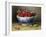 A Bowl of Raspberries-Willam B. Hough-Framed Giclee Print
