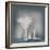 A bowl-Heidi Westum-Framed Photographic Print