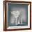 A bowl-Heidi Westum-Framed Photographic Print