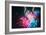 A Box Full of Stars-Dina Belenko-Framed Photographic Print