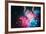 A Box Full of Stars-Dina Belenko-Framed Photographic Print