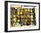 A Box of Figs for Sale in a Market, Tuscany, Italy-Bruno Morandi-Framed Photographic Print