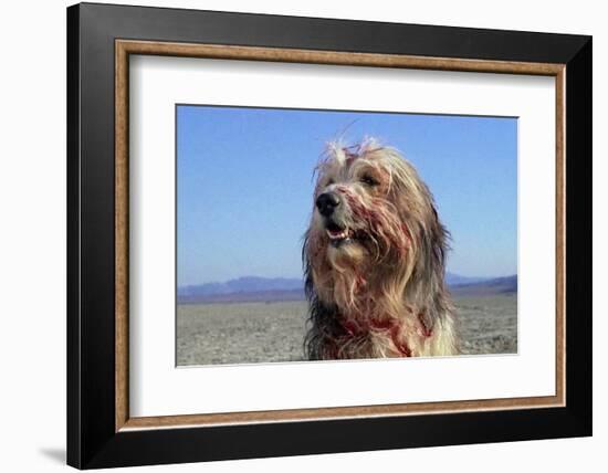 A Boy and His Dog-null-Framed Photographic Print