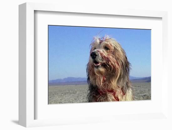 A Boy and His Dog-null-Framed Photographic Print