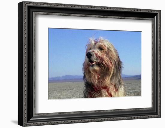 A Boy and His Dog-null-Framed Photographic Print