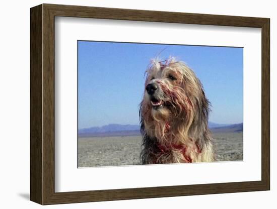 A Boy and His Dog-null-Framed Photo