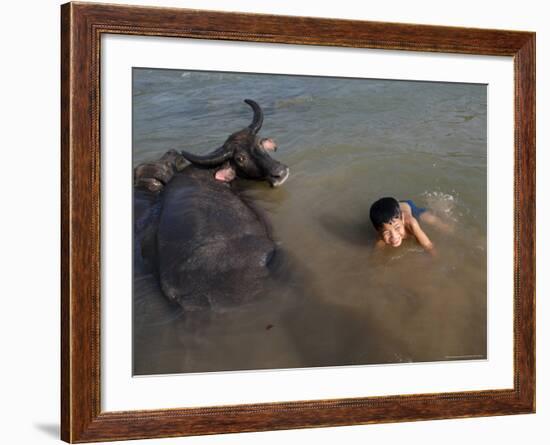 A Boy Bathes with His Water Buffalo in the Mekong River, Near Kratie, Eastern Cambodia, Indochina-Andrew Mcconnell-Framed Photographic Print
