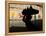 A Boy Carrying Bottles on His Head Passes by a Wall with Pictures of Haitian President Renel Preval-Ariana Cubillos-Framed Premier Image Canvas