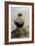 A Boy Crouching on a Rock-Albert Edelfelt-Framed Giclee Print