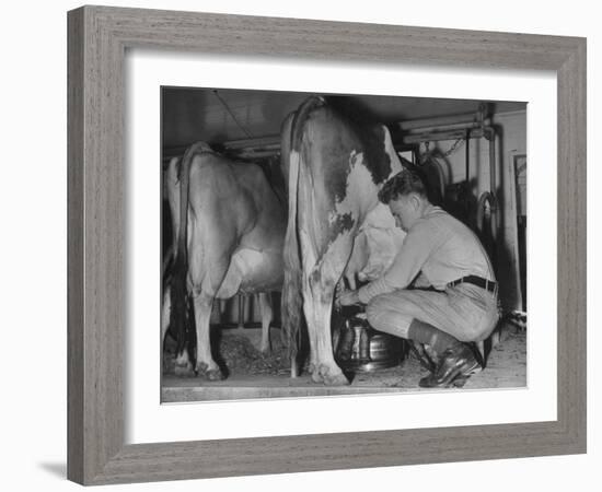 A Boy Milking a Cow-null-Framed Photographic Print