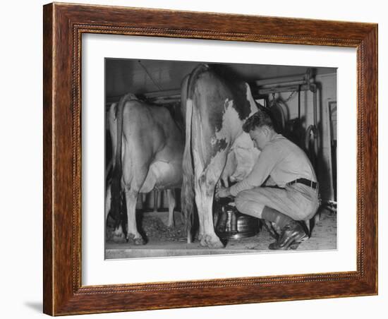 A Boy Milking a Cow-null-Framed Photographic Print