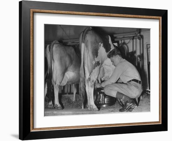 A Boy Milking a Cow-null-Framed Photographic Print