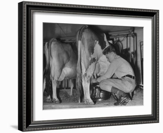 A Boy Milking a Cow-null-Framed Photographic Print