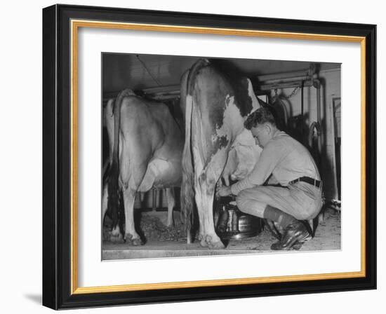 A Boy Milking a Cow-null-Framed Photographic Print