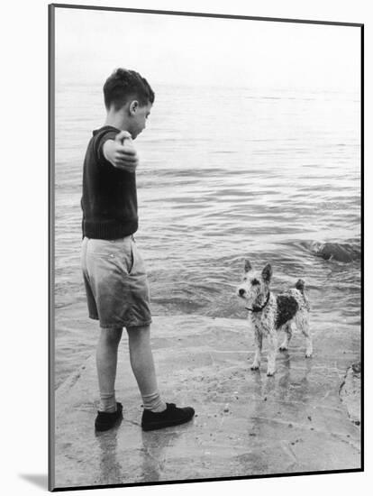 A Boy Throws Stones into the Sea for His Dog to Retrieve: the Dog Looks Up Expectantly-Henry Grant-Mounted Photographic Print