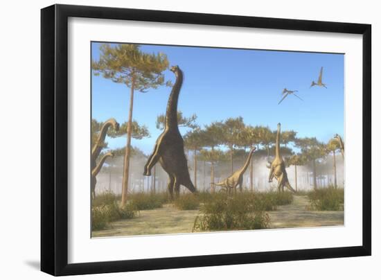 A Brachiosaurus Herd Grazing on Treetops-Stocktrek Images-Framed Art Print