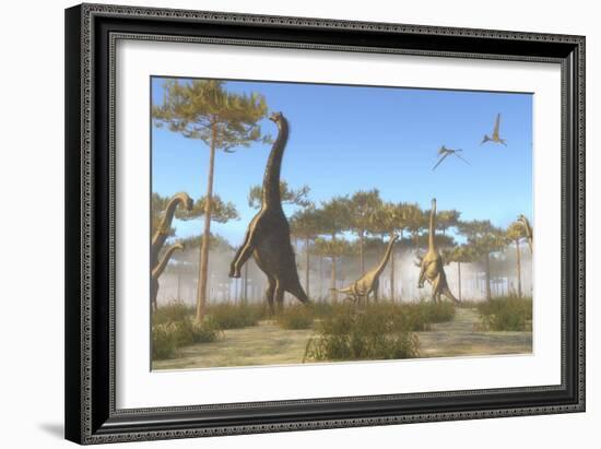 A Brachiosaurus Herd Grazing on Treetops-Stocktrek Images-Framed Art Print