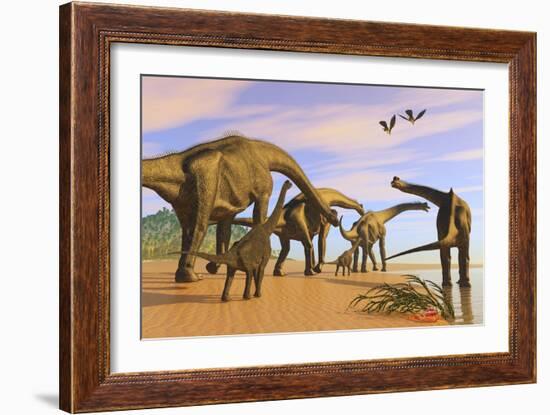A Brachiosaurus Herd Walks Down a Wet Sandy Beach-null-Framed Art Print