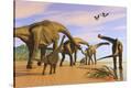 Stretched Canvas Print