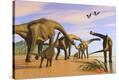Stretched Canvas Print