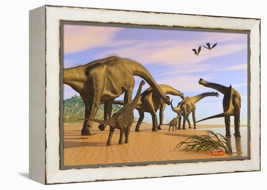 A Brachiosaurus Herd Walks Down a Wet Sandy Beach-null-Framed Stretched Canvas