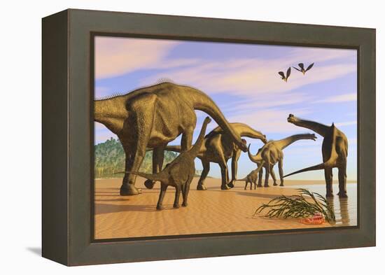 A Brachiosaurus Herd Walks Down a Wet Sandy Beach-null-Framed Stretched Canvas