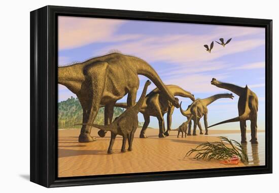 A Brachiosaurus Herd Walks Down a Wet Sandy Beach-null-Framed Stretched Canvas