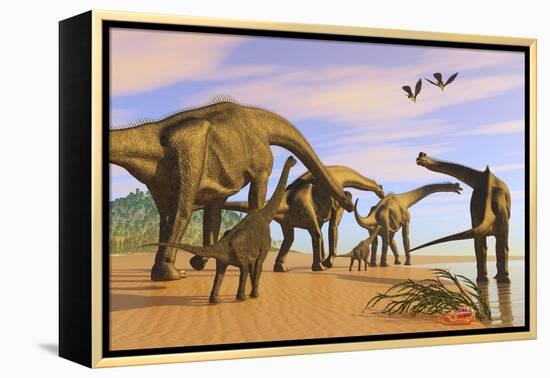 A Brachiosaurus Herd Walks Down a Wet Sandy Beach-null-Framed Stretched Canvas